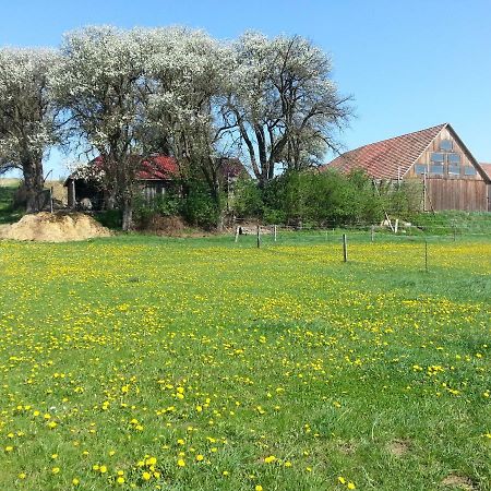 A-Sissy-Hof Villa Bischofstetten Eksteriør bilde